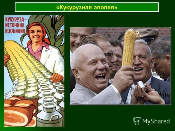 Кукуруза царица полей Хрущев