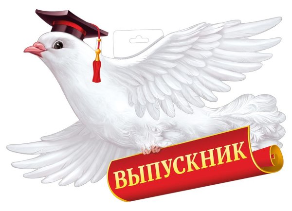 Плакат любимому учителю