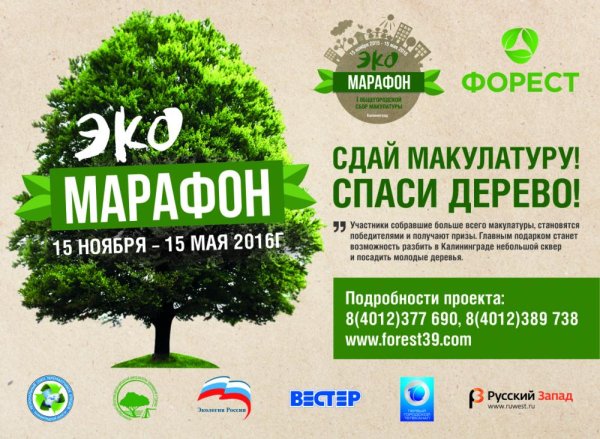 Акция Собери макулатуру сохрани дерево