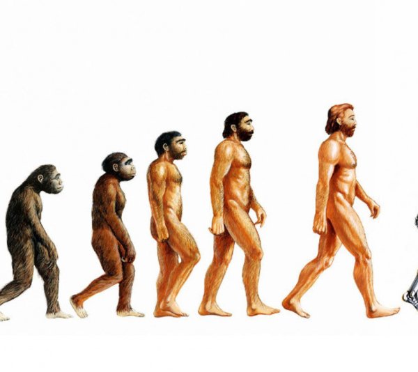 Эволюция человека фото
