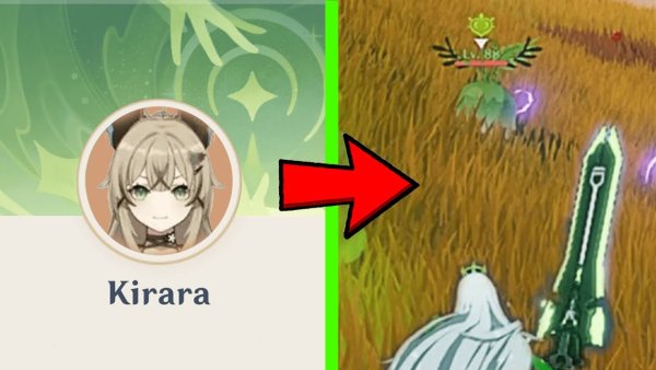 Ху Тао карточка