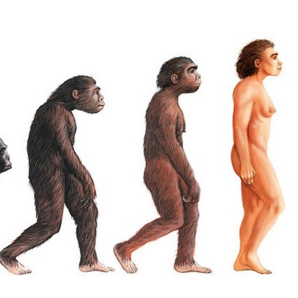 Эволюция человека разумного
