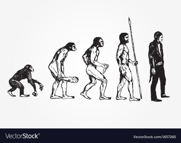 Лесенка эволюции человека