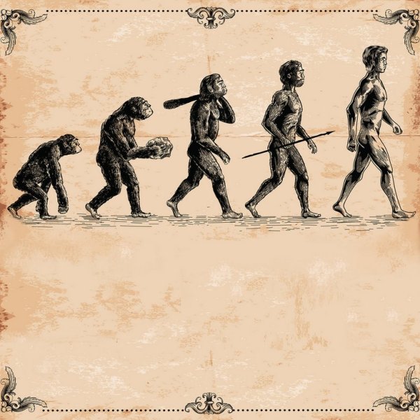 Эволюция человека