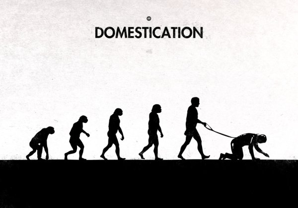 Деградация из человека в обезьяну