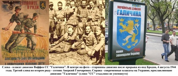 Дивизия СС Галичина нашивка