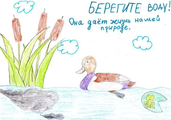 Плакат берегите водоемы