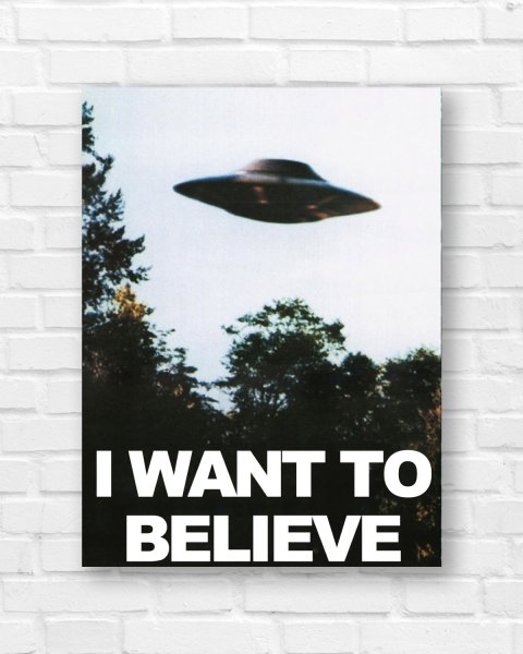 Секретные материалы хочу верить 2008 Постер