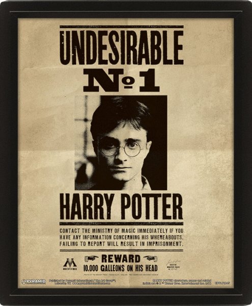 Pyramid 3d Постер Harry Potter: