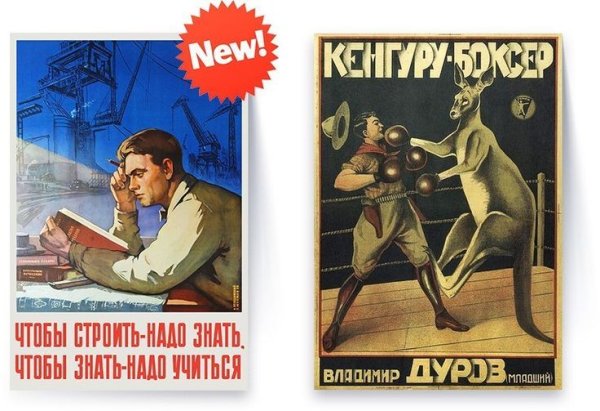 Кенгуру боксер Владимир Дуров