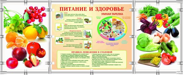 Стенд здоровое питание