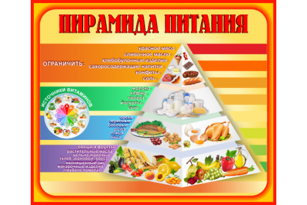 Стенд здоровое питание в школьной столовой