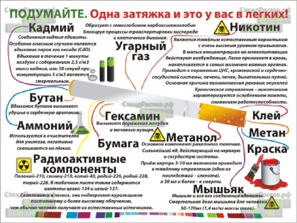 Памятка по профилактике табакокурения для школьников