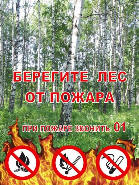 Берегите лес