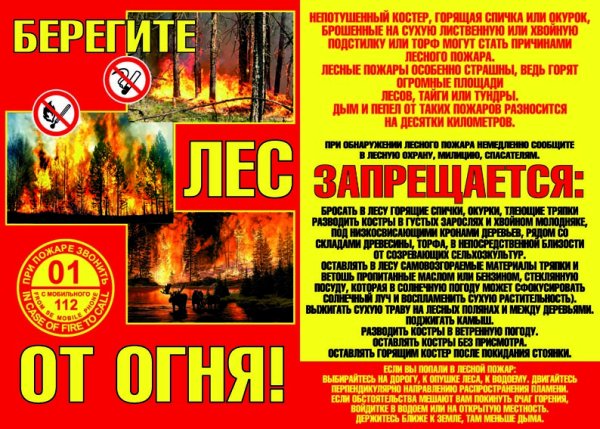 Плакат береги лес от пожара