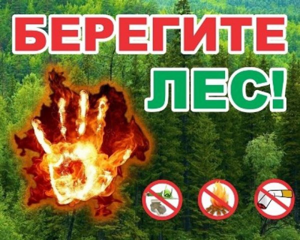 Берегите лес