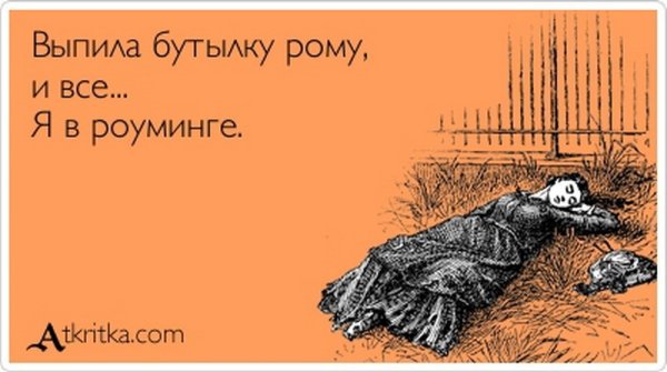 Выпила водку