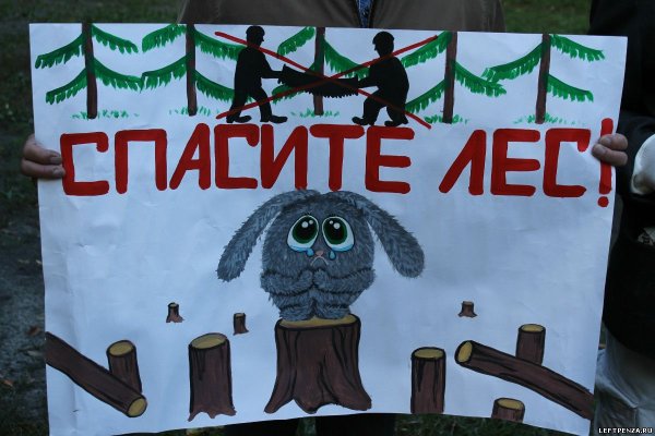 Плакаты против вырубки леса