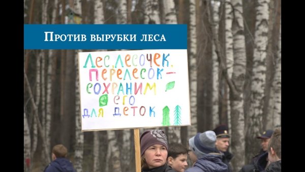 Против вырубки леса
