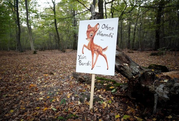 Вырубка лесов плакат