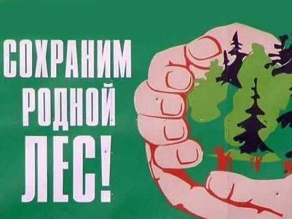 Плакат защита леса