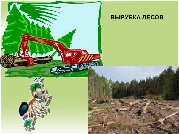 Нельзя рубить деревья