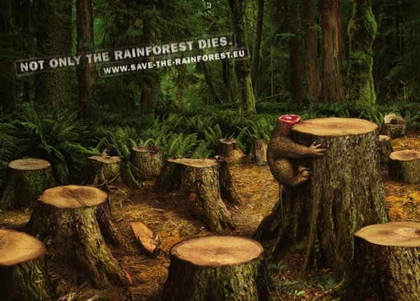 Против вырубки елок