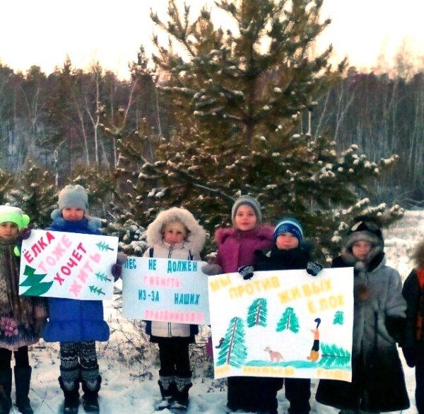 Защищает дерево