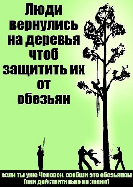 Плакат в защиту ели