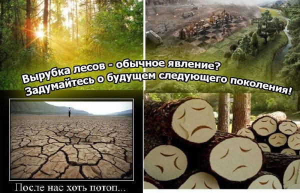 Против вырубки леса
