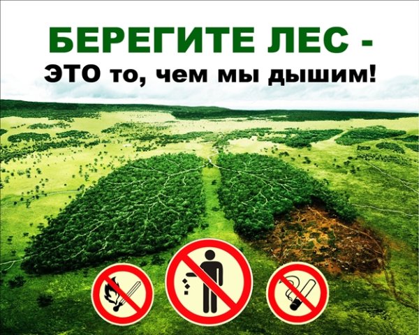 Знак вырубка деревьев запрещена