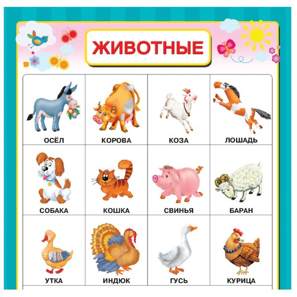 Обучающие плакаты для детского сада