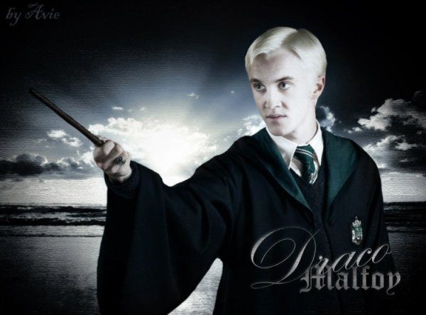 Торт Гарри Поттер Драко Малфой