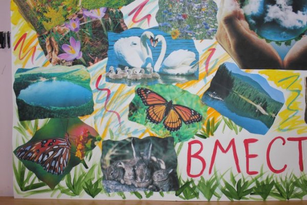 Коллаж защита природы