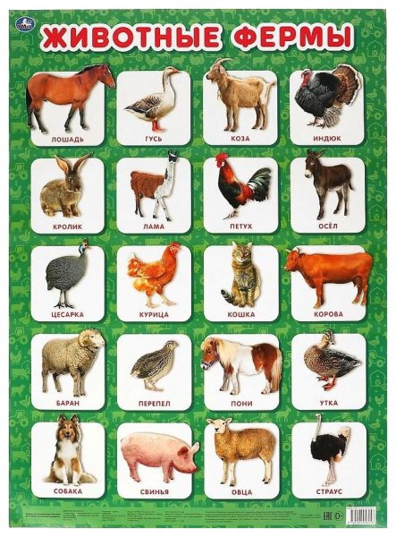 Животные фермы плакат