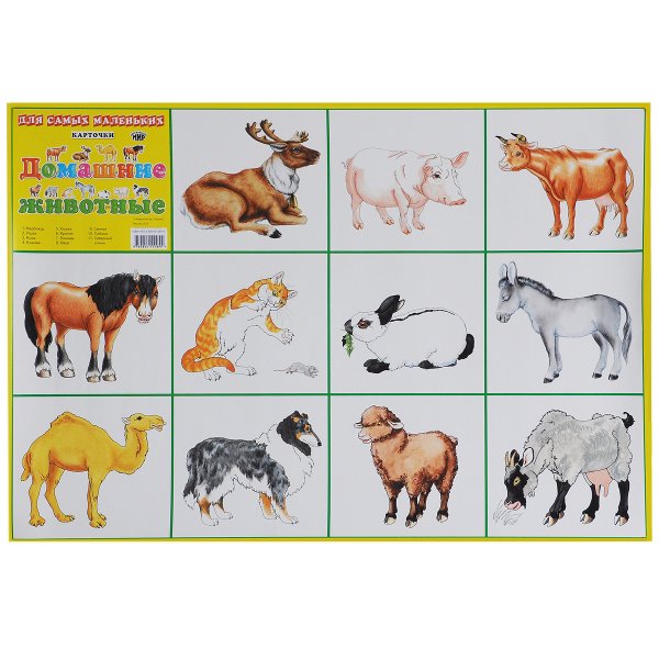 Плакат с домашними животными для детей