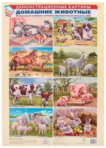 Демонстрационные картины "домашние животные"