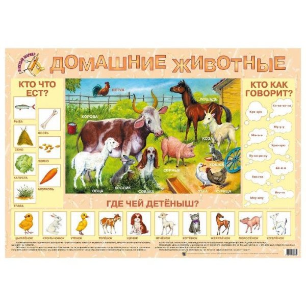 Домашние животные плакаты для детей