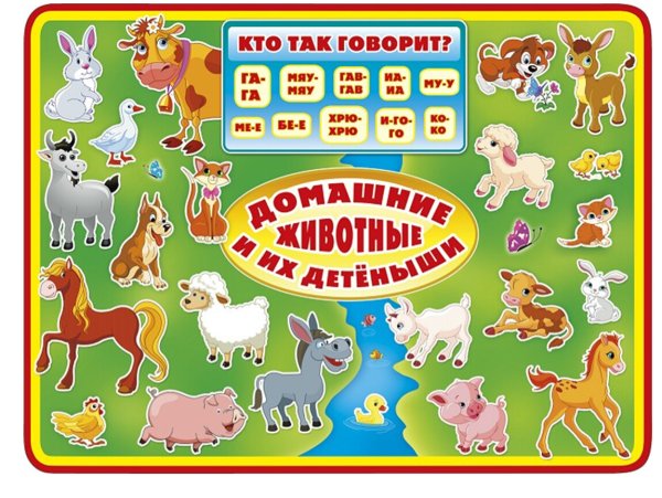 Плакат. Домашние животные.