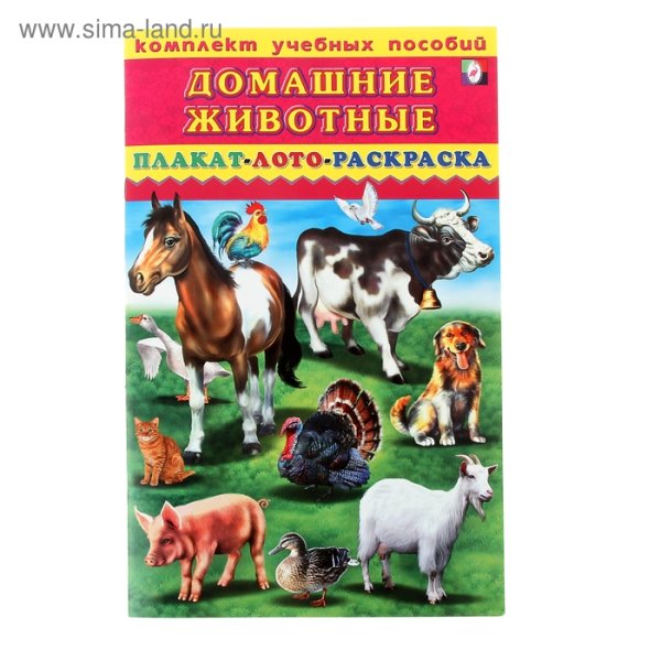 Плакат. Домашние животные.