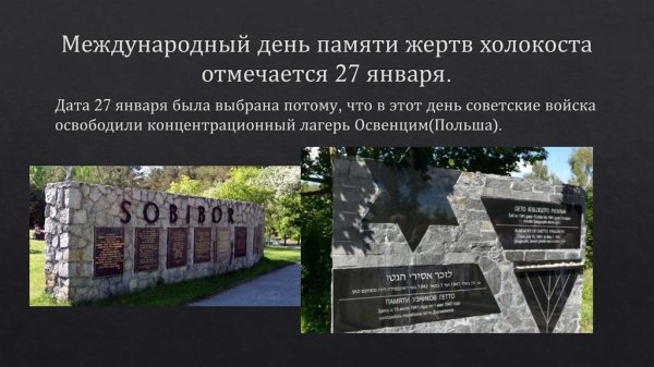 Холокоста что это такое кратко