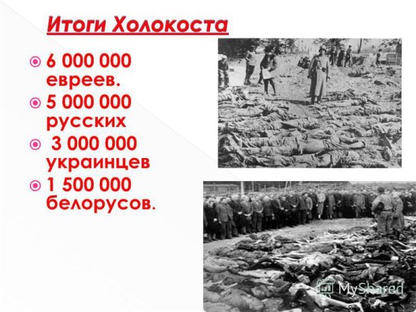 Холокост память поколений