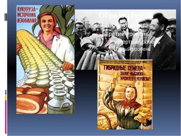Плакат кукуруза источник изобилия