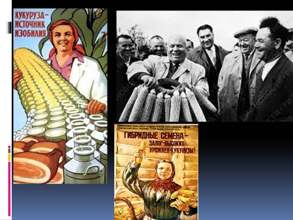 Хрущев и кукуруза плакат