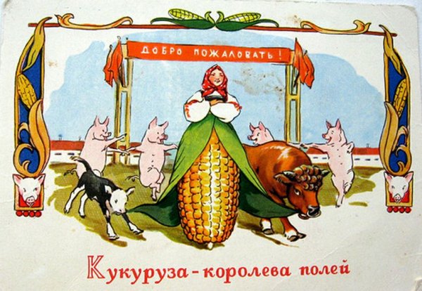 Кукуруза царица полей плакат