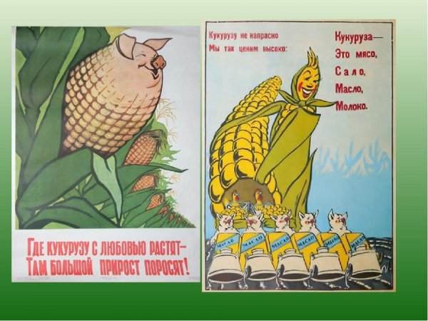 Плакаты Хрущева кукуруза