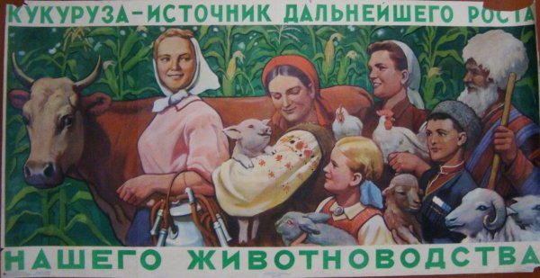 Хрущев и кукуруза плакат