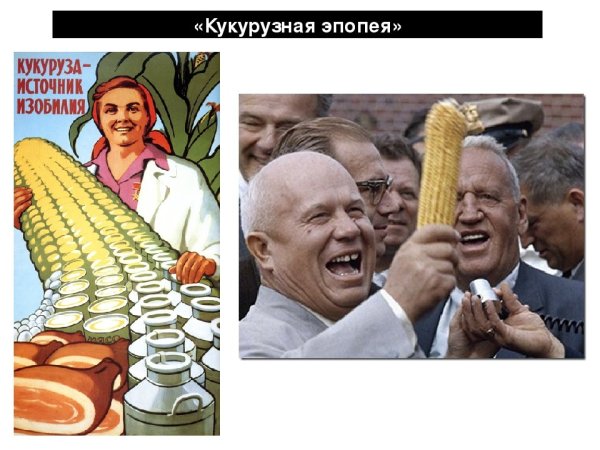 Никита Хрущев кукурузная эпопея