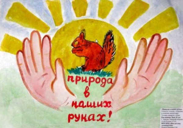 Плакаты берегитетживотных