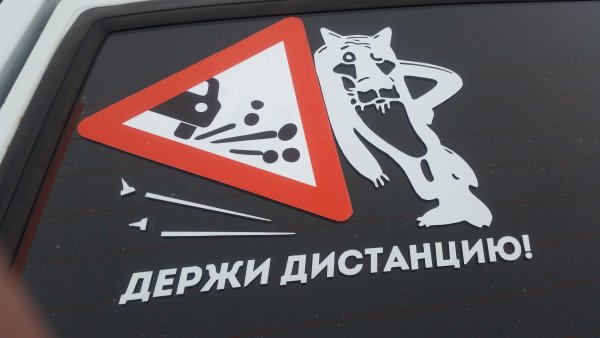 Пионеры смелые